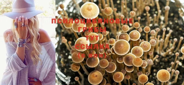 гашиш Балахна