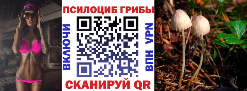 Псилоцибиновые грибы Psilocybe магазин продажи гидра зеркало Курильск